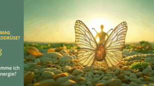 WAS MAG DIE SCHILDDRÜSE? Wie bekomme ich mehr Energie? Wenn wir mehr Energie haben wollen, müssen wir die „Königin des Stoffwechsels“ – unsere Schilddrüse – unterstützen. Ihre Funktion bestimmt, wie viel Kraft und Energie wir haben, unsere Stimmung, Libido, Denkgeschwindigkeit sowie unsere Motivation und Leistungsfähigkeit im Sport. Je besser die Schilddrüse arbeitet, desto mehr Energie und bessere Laune haben wir. Deshalb ist es so wichtig, ihre Bedürfnisse zu berücksichtigen. 👩‍⚕️ WAS MAG DIE SCHILDDRÜSE? ✅ PROTEIN Die Schilddrüsenhormone sind Eiweißhormone, die aus der Aminosäure L-Tyrosin gebildet werden. Deshalb sollte unsere Ernährung hochwertiges Eiweiß enthalten: Fisch, Hähnchen, Pute, Fleisch, Käse und Meeresfrüchte. ✅ JOD & SELEN Ohne Jod kann die Schilddrüse keine Hormone bilden! Natürliche Quellen: Algen, Meeresfrüchte, Fisch und Meersalz. Selen ist ebenso essenziell und steckt in Paranüssen, Fisch und Eiern. Achtung! Ich empfehle die Jodaufnahme mit deinem Arzt oder Heilpraktiker zu besprechen! ✅ VITAMINE UND MINERALIEN Für eine gesunde Schilddrüsenfunktion sind Eisen, Zink, Vitamin B12, Folsäure, Vitamin A, Vitamin D und Selen wichtig. Diese Nährstoffe sind in frischem Obst, Beeren, grünem Blattgemüse, Fleisch und Fisch enthalten. Vitamin C unterstützt die Eisenaufnahme – kombiniere also z. B. Fleisch mit Paprika oder Zitrusfrüchten! ✅ REGELMÄßIGER SCHLAF & RHYTHMUS Die Schilddrüse liebt Struktur! Gehe jeden Tag zur gleichen Zeit ins Bett (am besten vor Mitternacht) und schlafe mindestens 7-8 Stunden. Außerdem wichtig: Regelmäßige Mahlzeiten. Außerdem liebt die Schilddrüse eine geregelte Ernährung – Frühstück, Mittag- und Abendessen zu festen Zeiten. Nicht hungern! Wenn der Stresslevel zu hoch ist, Intervallfasten würde ich nicht empfehlen. ✅ WÄRME & SONNENLICHT Die Die Schilddrüse liebt warmes Wetter! Sonne hilft bei der Bildung von Vitamin D, das für sie essenziell ist. Falls du wenig Sonne bekommst, kann ein hochwertiges Vitamin-D-Präparat sinnvoll sein – am besten mit K2 kombiniert! Wichtig: Sonnenbaden nur in den weniger intensiven Stunden (vor 12 Uhr und nach 16 Uhr). ✅ EMOTIONEN & STRESSMANAGEMENT Stress ist Gift für die Schilddrüse! Laut der Psychosomatik entstehen Schilddrüsenprobleme oft durch unterdrückte Emotionen, nicht verarbeitete Kränkungen oder das Gefühl, im Leben festzustecken. Es macht Sinn einige Themen zu bearbeiten und lernen die Emotionen zu durchleben und die zu zulassen. Dazu ist es wichtig Spaß im Leben zu haben Finde Aktivitäten, die dir Freude machen, pflege deine Hobbys und genieße den Kontakt mit lieben Menschen. Meditation, Atemübungen und Naturspaziergänge können helfen, das Stresslevel zu senken und die Schilddrüse zu entlasten. 🌟 Fazit: Eine gesunde Schilddrüse ist der Schlüssel zu Energie, Vitalität und Wohlbefinden. Achte auf Nährstoffe, Schlaf, Wärme und positive Emotionen – dein Körper wird es dir danken! ✨ 💌 Du möchtest deine Gesundheit verbessern oder hast Fragen zu deiner Schilddrüse? Schreib mir eine PN oder eine E-Mail an health.mariana@gmail.com – ich helfe dir gerne weiter! 💬💖