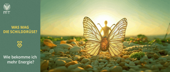 WAS MAG DIE SCHILDDRÜSE? Wie bekomme ich mehr Energie? Wenn wir mehr Energie haben wollen, müssen wir die „Königin des Stoffwechsels“ – unsere Schilddrüse – unterstützen. Ihre Funktion bestimmt, wie viel Kraft und Energie wir haben, unsere Stimmung, Libido, Denkgeschwindigkeit sowie unsere Motivation und Leistungsfähigkeit im Sport. Je besser die Schilddrüse arbeitet, desto mehr Energie und bessere Laune haben wir. Deshalb ist es so wichtig, ihre Bedürfnisse zu berücksichtigen. 👩‍⚕️ WAS MAG DIE SCHILDDRÜSE? ✅ PROTEIN Die Schilddrüsenhormone sind Eiweißhormone, die aus der Aminosäure L-Tyrosin gebildet werden. Deshalb sollte unsere Ernährung hochwertiges Eiweiß enthalten: Fisch, Hähnchen, Pute, Fleisch, Käse und Meeresfrüchte. ✅ JOD & SELEN Ohne Jod kann die Schilddrüse keine Hormone bilden! Natürliche Quellen: Algen, Meeresfrüchte, Fisch und Meersalz. Selen ist ebenso essenziell und steckt in Paranüssen, Fisch und Eiern. Achtung! Ich empfehle die Jodaufnahme mit deinem Arzt oder Heilpraktiker zu besprechen! ✅ VITAMINE UND MINERALIEN Für eine gesunde Schilddrüsenfunktion sind Eisen, Zink, Vitamin B12, Folsäure, Vitamin A, Vitamin D und Selen wichtig. Diese Nährstoffe sind in frischem Obst, Beeren, grünem Blattgemüse, Fleisch und Fisch enthalten. Vitamin C unterstützt die Eisenaufnahme – kombiniere also z. B. Fleisch mit Paprika oder Zitrusfrüchten! ✅ REGELMÄßIGER SCHLAF & RHYTHMUS Die Schilddrüse liebt Struktur! Gehe jeden Tag zur gleichen Zeit ins Bett (am besten vor Mitternacht) und schlafe mindestens 7-8 Stunden. Außerdem wichtig: Regelmäßige Mahlzeiten. Außerdem liebt die Schilddrüse eine geregelte Ernährung – Frühstück, Mittag- und Abendessen zu festen Zeiten. Nicht hungern! Wenn der Stresslevel zu hoch ist, Intervallfasten würde ich nicht empfehlen. ✅ WÄRME & SONNENLICHT Die Die Schilddrüse liebt warmes Wetter! Sonne hilft bei der Bildung von Vitamin D, das für sie essenziell ist. Falls du wenig Sonne bekommst, kann ein hochwertiges Vitamin-D-Präparat sinnvoll sein – am besten mit K2 kombiniert! Wichtig: Sonnenbaden nur in den weniger intensiven Stunden (vor 12 Uhr und nach 16 Uhr). ✅ EMOTIONEN & STRESSMANAGEMENT Stress ist Gift für die Schilddrüse! Laut der Psychosomatik entstehen Schilddrüsenprobleme oft durch unterdrückte Emotionen, nicht verarbeitete Kränkungen oder das Gefühl, im Leben festzustecken. Es macht Sinn einige Themen zu bearbeiten und lernen die Emotionen zu durchleben und die zu zulassen. Dazu ist es wichtig Spaß im Leben zu haben Finde Aktivitäten, die dir Freude machen, pflege deine Hobbys und genieße den Kontakt mit lieben Menschen. Meditation, Atemübungen und Naturspaziergänge können helfen, das Stresslevel zu senken und die Schilddrüse zu entlasten. 🌟 Fazit: Eine gesunde Schilddrüse ist der Schlüssel zu Energie, Vitalität und Wohlbefinden. Achte auf Nährstoffe, Schlaf, Wärme und positive Emotionen – dein Körper wird es dir danken! ✨ 💌 Du möchtest deine Gesundheit verbessern oder hast Fragen zu deiner Schilddrüse? Schreib mir eine PN oder eine E-Mail an health.mariana@gmail.com – ich helfe dir gerne weiter! 💬💖